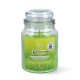 Magic Lights Citronella scent candle with wood wick in jar 510g
