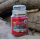Magic Lights Red Fruits scent candle with wood wick in jar 510g