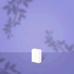 Staleks PRO Expert NFB-51M-100/180-50 rectangular mini nail buff 100/180 grit 50pcs