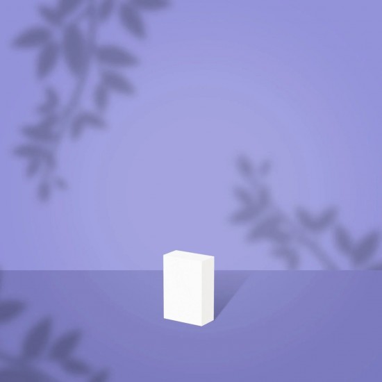 Staleks PRO Expert NFB-51M-100/180-50 rectangular mini nail buff 100/180 grit 50pcs