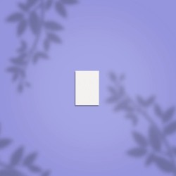 Staleks PRO Expert NFB-51M-100/180-50 rectangular mini nail buff 100/180 grit 50pcs