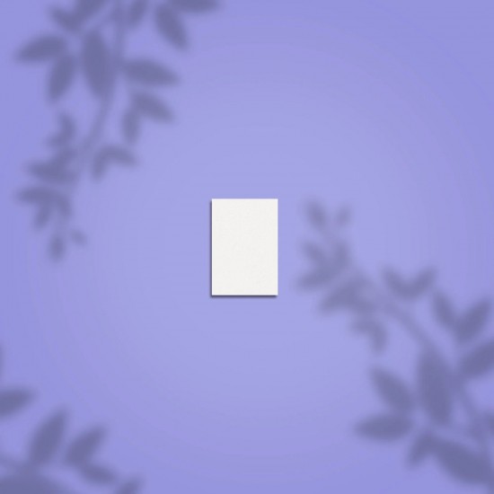 Staleks PRO Expert NFB-51M-100/180-50 rectangular mini nail buff 100/180 grit 50pcs