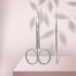 Staleks Classic SC-31/1 universal scissors