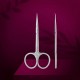 Staleks Exclusive SX-23/1M professional cuticle scissors with hook