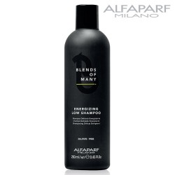 AlfaParf Blends Of Many Energizing Low Shampoo anti-hair loss for men 250ml