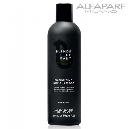 AlfaParf Blends Of Many Energizing Low Shampoo anti-hair loss for men 250ml