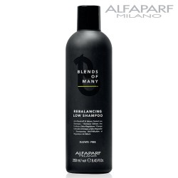 AlfaParf Blends Of Many Rebalancing Low Shampoo anti-dandruff for men 250ml