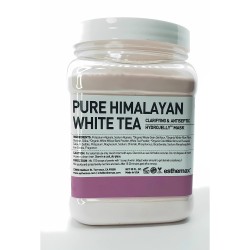 Esthemax Pure Himalayan White Tea Hydrojelly Mask 887g