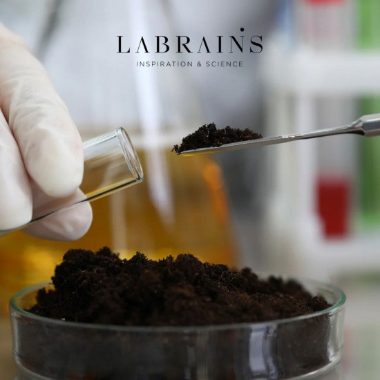 Labrains Cleansea cleansing gel for facial skin with peat extract 200ml