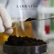 Labrains Cleansea cleansing gel for facial skin with peat extract 200ml