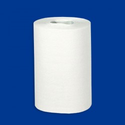 Rolls paper towels 2-ply 65m