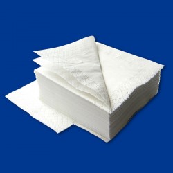 Paper napkins Lime 2 ply 250 sheets white