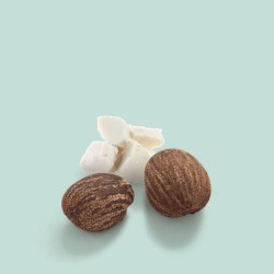 Kadus P.U.R.E. sulfate-free shampoo for gentle hair cleansing 250ml