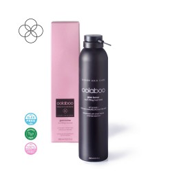 Oolaboo Glam Former root lifting hair blast 250ml