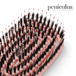 Peniculus Flexibrush Pastel Pink hairbrush with combined bristles
