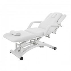 Electric Massage Bed 2241C 