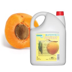 Antibacterial Liquid Hand Soap "Apricot" 5 Liter