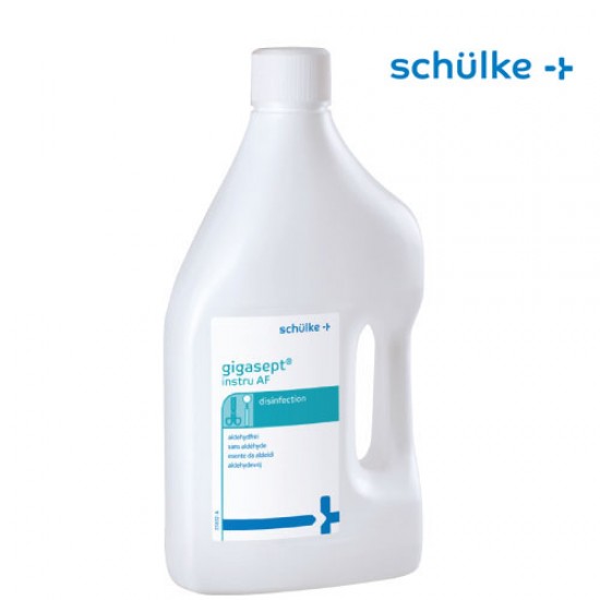 Schulke Gigasept Instru AF 2L