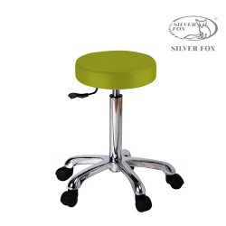 Silver Fox Flat round stool 1023A lime