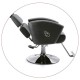 Salon Chair in Black unit 167