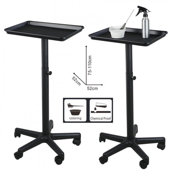 Portable metal tray for instruments T-011